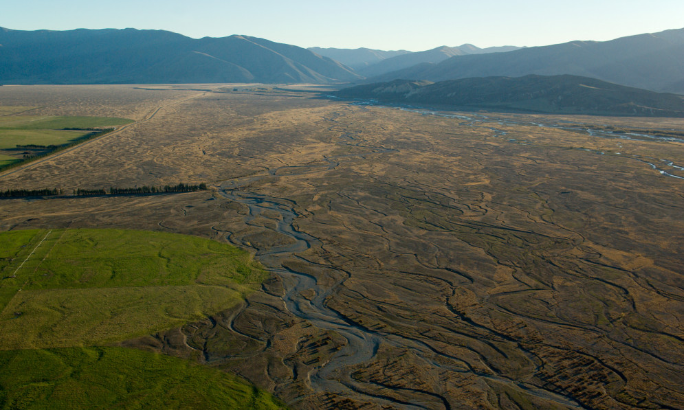 Ground zero for the Mackenzie Basin Forest and Bird